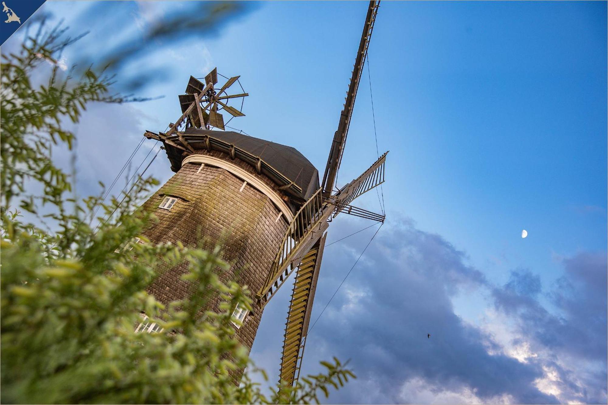 Waldsiedlung Dhh Waldhaus 6 Korswandt Exterior foto